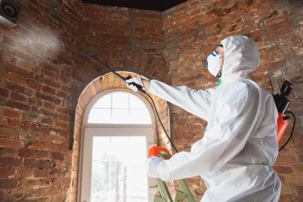 Best Industrial Mold Remediation in Mountain Village, CO